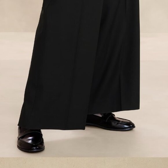 Banana Republic Hayden Wide-Leg Pant, Size 8 Petite - Picture 5 of 8